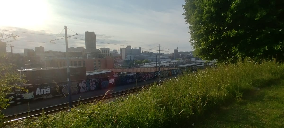 Shout and Silence: Rioters