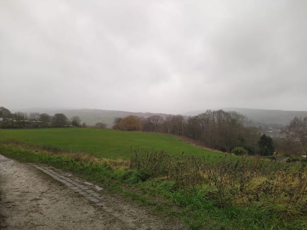 Andrew T. at Bole Hills