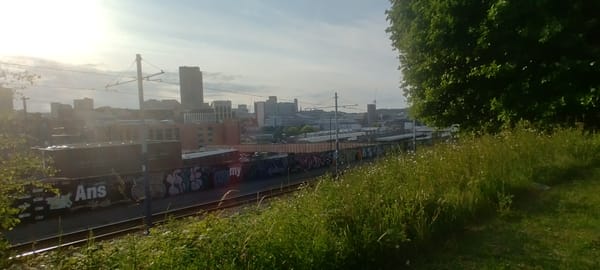 Shout and Silence: Rioters